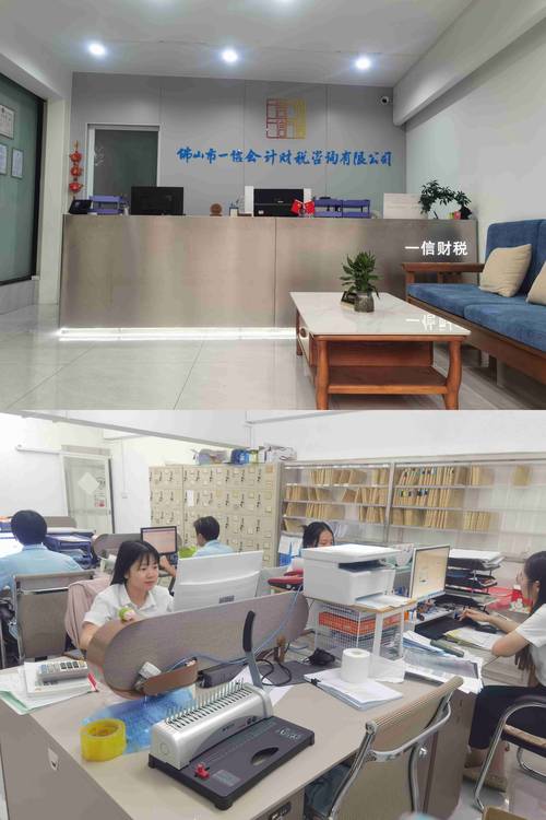 佛山顺德区长期税务代理机构 小规模企业的明智之选与全方位税务咨询服务