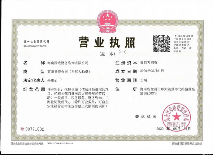 海口周边税务咨询服务指南 海南注册公司、股权变更与代理服务全解析